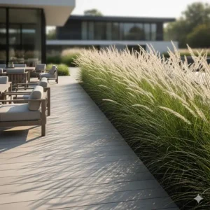 Eine Reihe von hohen Ziergräsern, die als schnell wachsende Gartenpflanzen für Sichtschutz eine Terrasse abgrenzen.