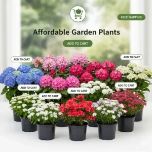 Günstige Gartenpflanzen online bestellen: Wunderschöne, blühende Sträucher.