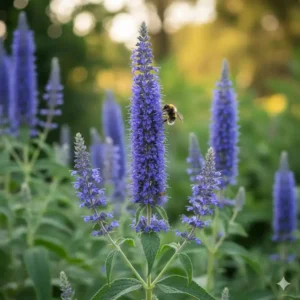Dichtes Polster der Gartennelke mit kleinen, stark duftenden Blüten, ideal als Bodendecker-Staude.